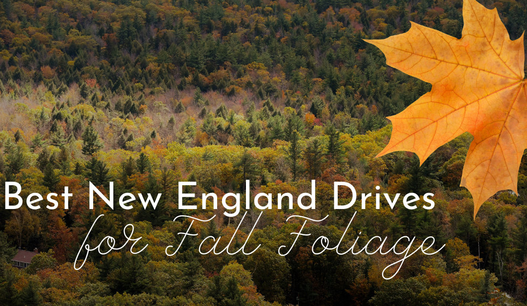 3 of the Best New England Drives